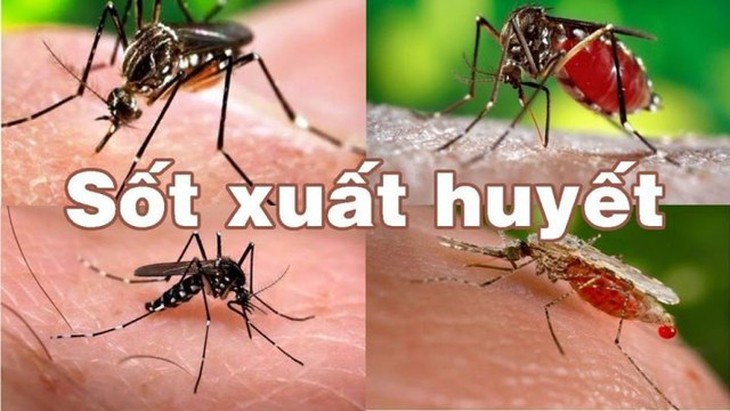 Giai đoạn nguy hiểm khi trẻ mắc sốt xuất huyết cha mẹ cần lưu ý- Ảnh 1.
