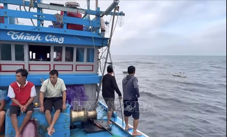 Cứu được toàn bộ thuyền viên vụ chìm tàu cá trên vùng biển Lý Sơn- Ảnh 1. Cứu được toàn bộ thuyền viên vụ chìm tàu cá trên vùng biển Lý Sơn- Ảnh 1.