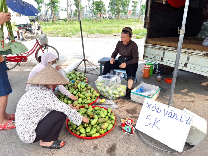Xoài Vân Du giá siêu rẻ chỉ 5.000 đồng/kg có ngon như lời đồn?- Ảnh 2.