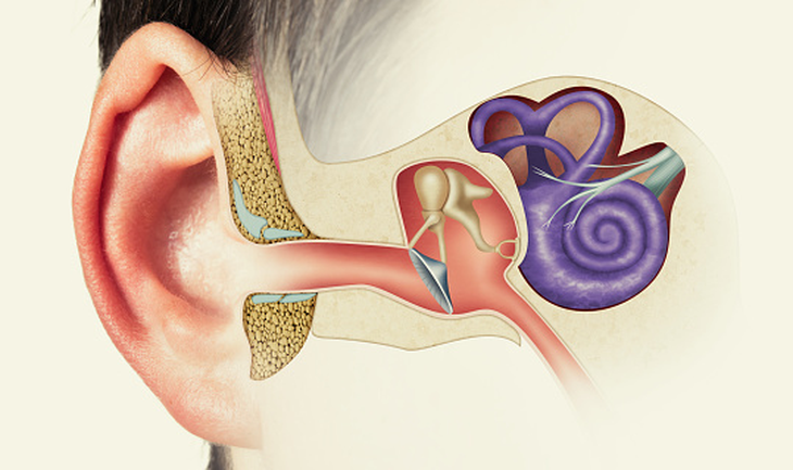 Nghe kém một bên tai – Đừng để thế giới chỉ còn một nửa âm thanh- Ảnh 2.