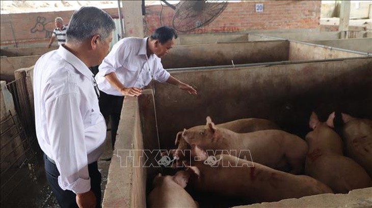 Hậu Giang thành lập đoàn kiểm tra các cơ sở giết mổ gia súc- Ảnh 3.