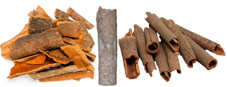 vi-duoc-lieu-que-nhuc-cortex-cinnamomi-