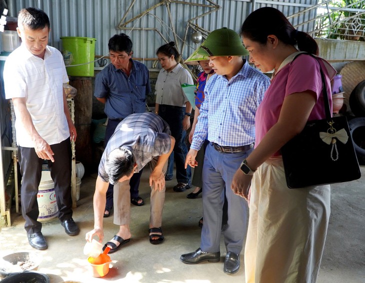Hà Tĩnh khuyến cáo về bệnh sốt xuất huyết- Ảnh 2.