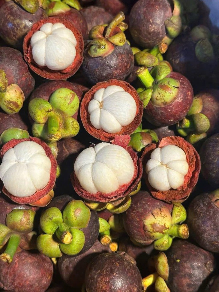 Măng cụt vào mùa giá 'siêu hời', tiểu thương chia sẻ cách loại bỏ quả hỏng, tránh lãng phí- Ảnh 10.