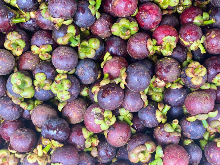 Măng cụt vào mùa giá 'siêu hời', tiểu thương chia sẻ cách loại bỏ quả hỏng, tránh lãng phí- Ảnh 6.