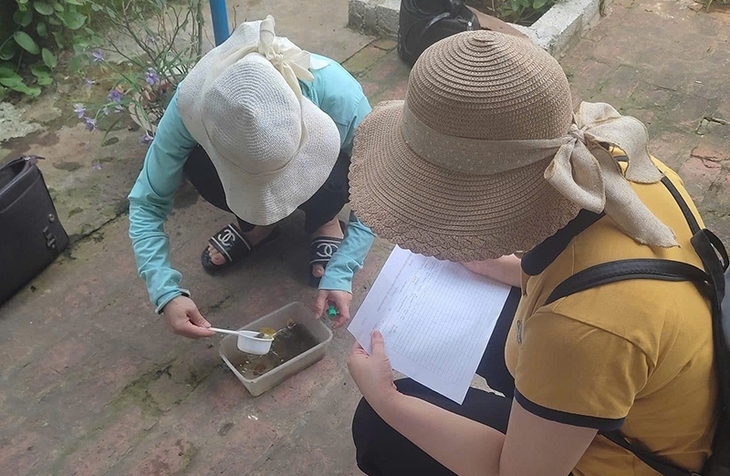 Khuyến cáo người dân các biện pháp ngăn chặn dịch sốt xuất huyết- Ảnh 1.