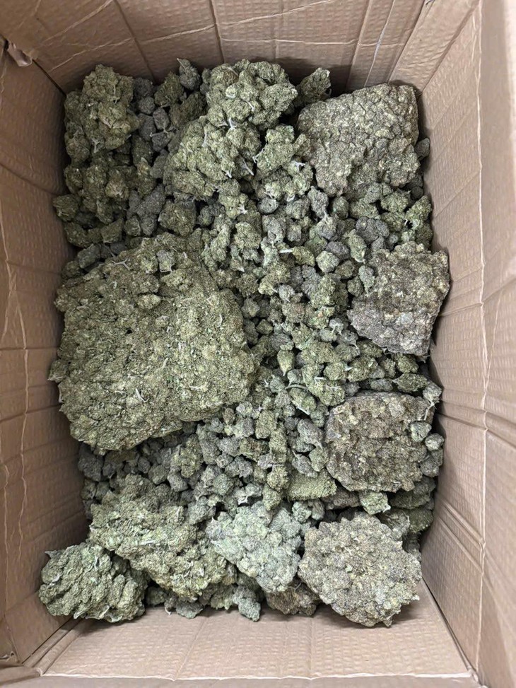 Lật tẩy đường dây cần sa 'trá hình' dưới vỏ bọc bánh kẹo, thuốc lá điện tử- Ảnh 1.
