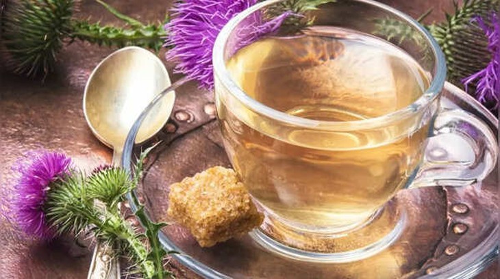 Trà cây kế sữa (Silybum marianum)