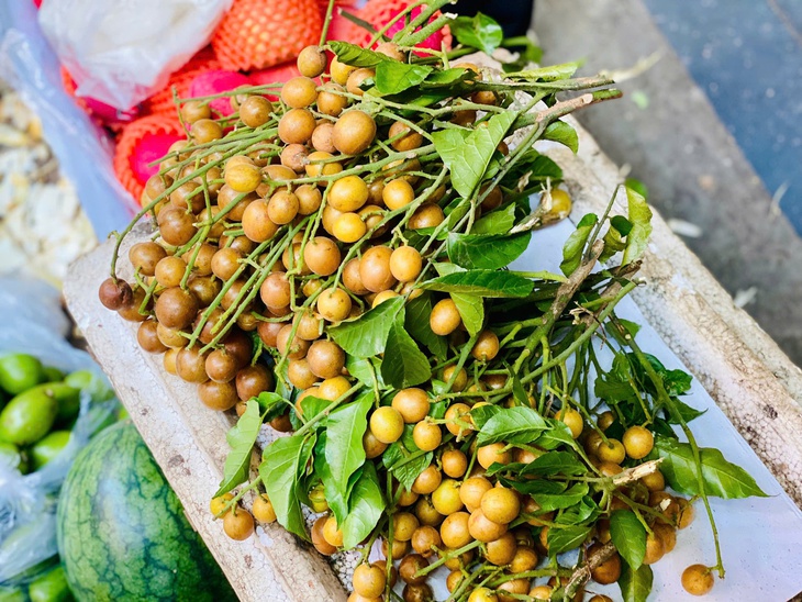 Loại quả ăn vặt dân dã vào mùa, chị em thi nhau săn đón thưởng thức- Ảnh 5. Loại quả ăn vặt dân dã vào mùa, chị em thi nhau săn đón thưởng thức- Ảnh 5.