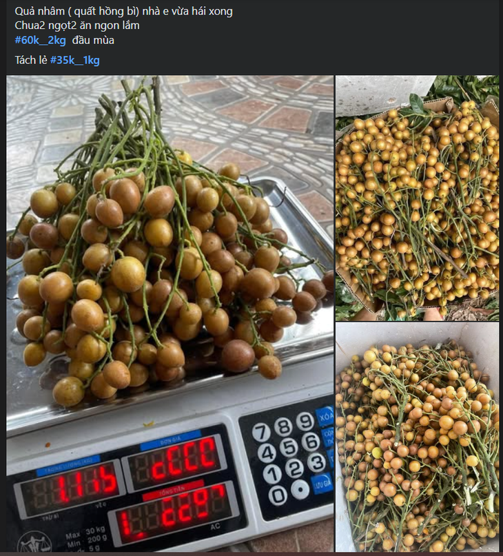 Loại quả ăn vặt dân dã vào mùa, chị em thi nhau săn đón thưởng thức- Ảnh 4. Loại quả ăn vặt dân dã vào mùa, chị em thi nhau săn đón thưởng thức- Ảnh 4.