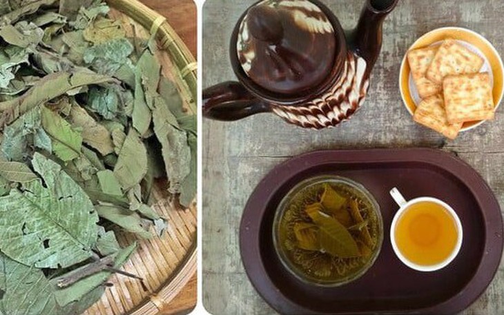 Cách làm trà lá ổi khô