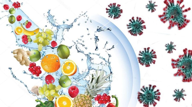 Giải pháp dinh dưỡng giúp bảo vệ hệ miễn dịch, tăng cường sức khoẻ- Ảnh 1.
