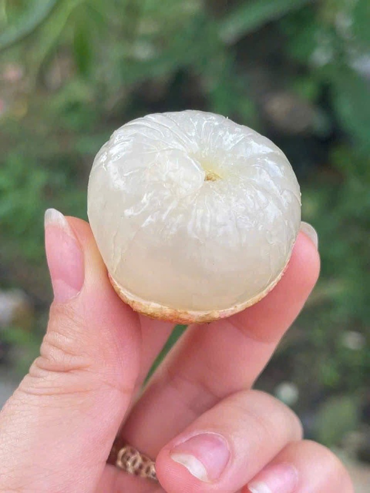 Ăn trái cây đúng cách – nên ăn sau bữa cơm hay lúc đói?- Ảnh 1.