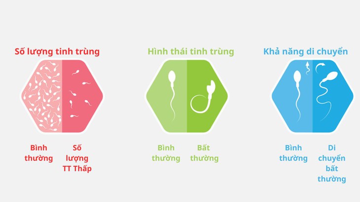 Những yếu tố ảnh hưởng đến chất lượng tinh trùng- Ảnh 1. Những yếu tố ảnh hưởng đến chất lượng tinh trùng- Ảnh 1.