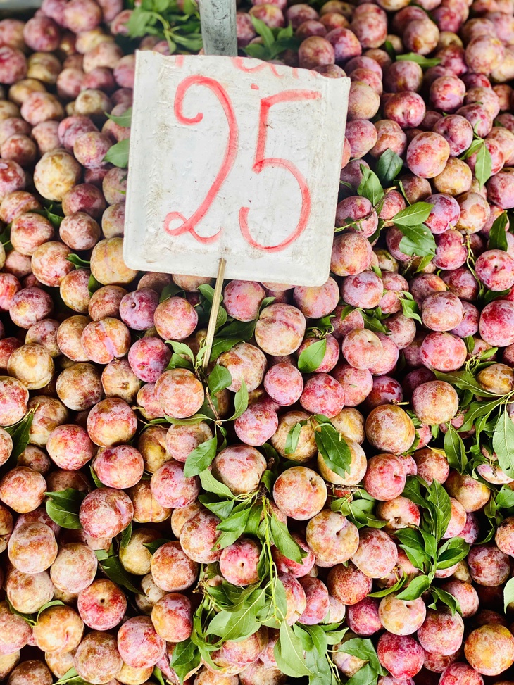 Mận hậu giảm giá sâu chỉ còn vài nghìn đồng/kg bán đổ đống đầy thị trường- Ảnh 9. Mận hậu giảm giá sâu chỉ còn vài nghìn đồng/kg bán đổ đống đầy thị trường- Ảnh 9.