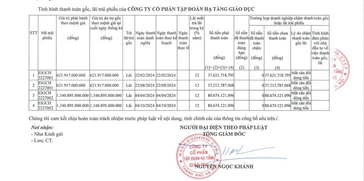 Tập đoàn Hạ tầng Giáo dục mất cân đối dòng tiền- Ảnh 2.