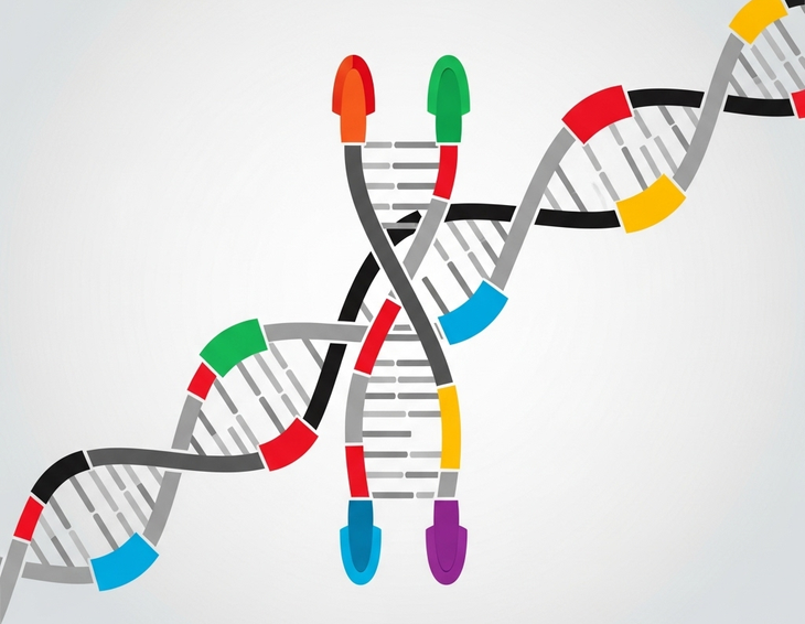 Vitamin D giúp duy trì telomere làm chậm quá trình lão hóa sinh học- Ảnh 1.