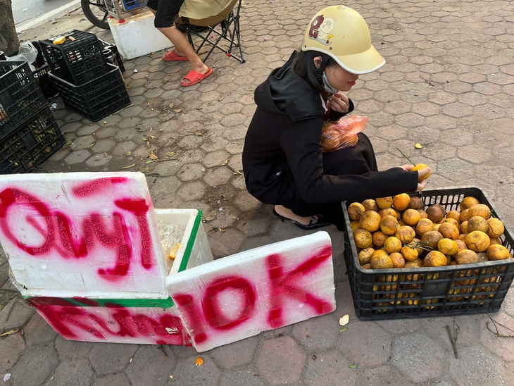 Quýt rừng xuống phố: Giá chỉ 10.000 đồng/kg, hương vị lạ miệng gây sốt- Ảnh 2. Quýt rừng xuống phố: Giá chỉ 10.000 đồng/kg, hương vị lạ miệng gây sốt- Ảnh 2.
