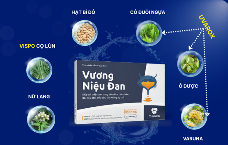 Tiểu đêm – 'Kẻ thù thầm lặng' của giấc ngủ- Ảnh 3.