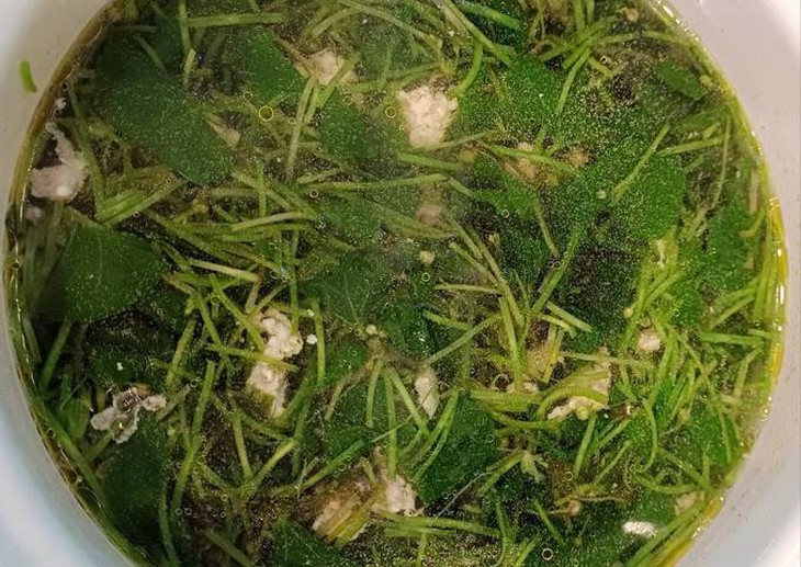 Món ăn bài thuốc phòng và trị cảm nắng- Ảnh 1. Món ăn bài thuốc phòng và trị cảm nắng- Ảnh 1.
