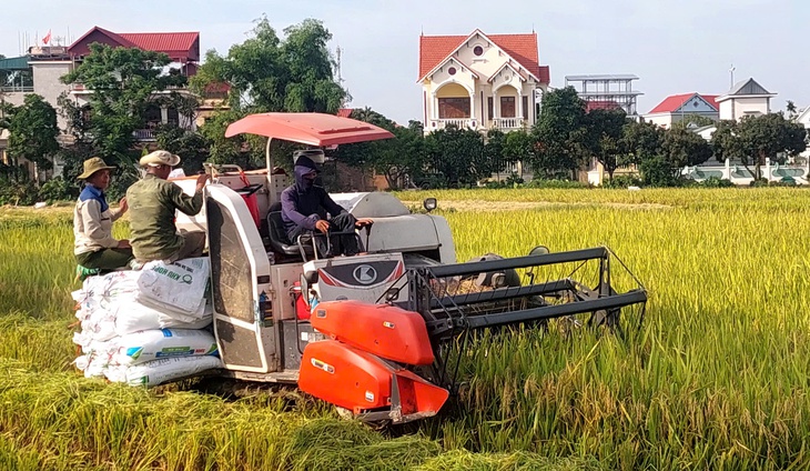Chuyện nông dân 'thuê ruộng' bỏ hoang để khởi nghiệp và hướng đi mới cho nông nghiệp Ninh Giang- Ảnh 1.