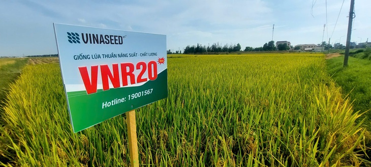 Chuyện nông dân 'thuê ruộng' bỏ hoang để khởi nghiệp và hướng đi mới cho nông nghiệp Ninh Giang- Ảnh 2.