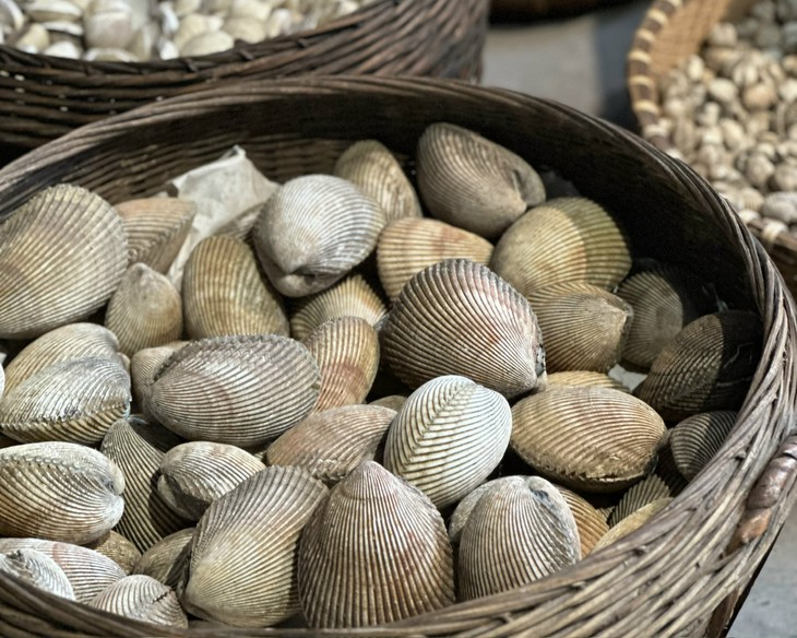 Những nhóm chất 'vàng' cho trẻ tuổi dậy thì- Ảnh 2.