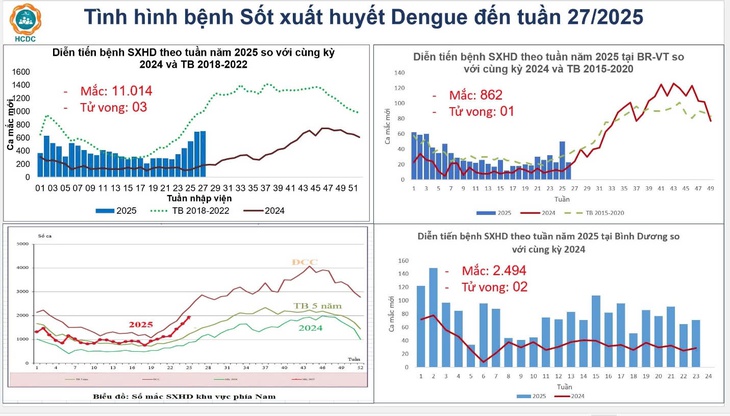 TPHCM: Sốt xuất huyết gia tăng báo động, 6 ca tử vong- Ảnh 1.