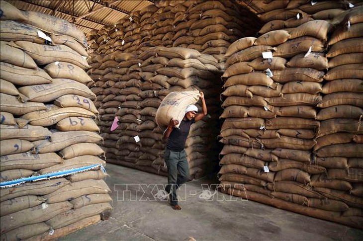 Gạo châu Á chững giá- Ảnh 1.