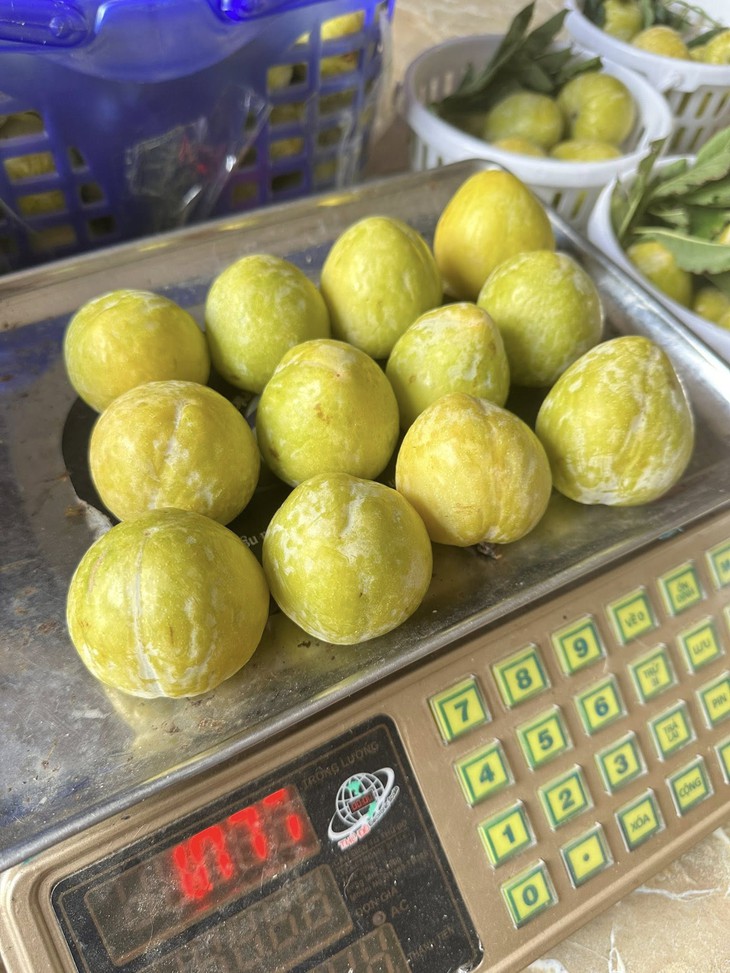 Loại quả lạ có tên mận cau giá 450.000 đồng/kg vẫn hút khách- Ảnh 4.