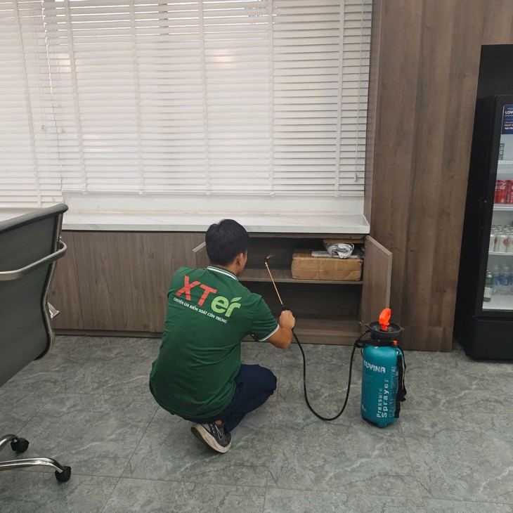 Tổ mối trong nhà - nỗi lo âm thầm trong tổ ấm nhỏ- Ảnh 3.