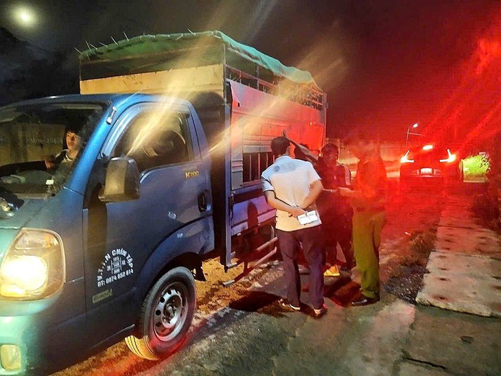 Xuất hiện tình trạng bán tháo lợn bệnh khi dịch tả lợn châu Phi lan rộng- Ảnh 2.
