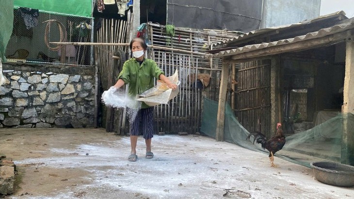 Xử lý nghiêm hành vi giấu dịch, vứt xác lợn bệnh ra môi trường- Ảnh 1.