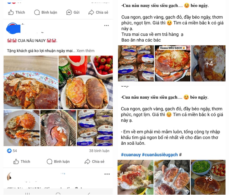 Vì sao Cua nâu Nauy có giá chỉ từ 200.000 đ/kg?- Ảnh 1.