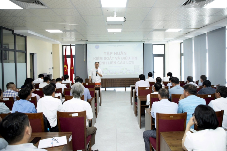 Gia tăng ca mắc liên cầu lợn, Huế đưa ra các phương án ‘cần làm ngay’ - Ảnh 1.