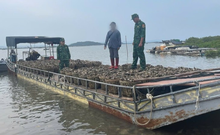 Mua 4 tấn hàu lậu ở nước ngoài mang về Việt Nam bán kiếm lời- Ảnh 1.