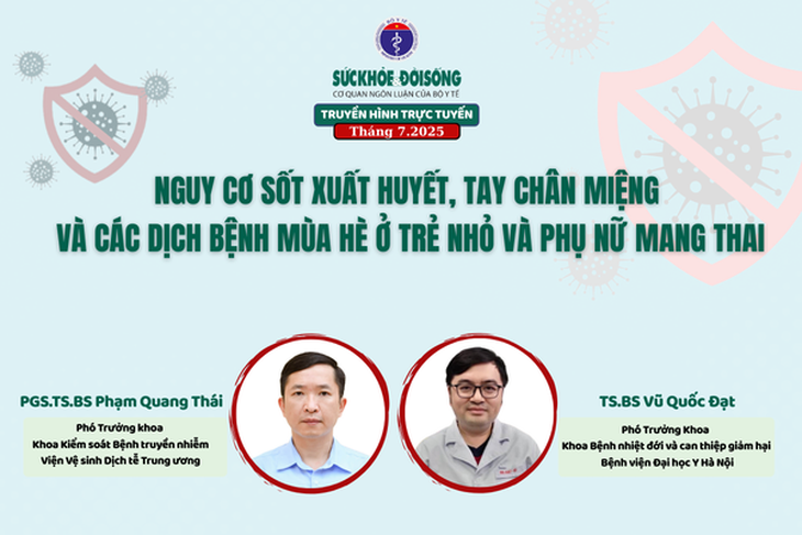 Truyền hình trực tuyến: Nguy cơ sốt xuất huyết, tay chân miệng và các dịch bệnh mùa hè ở trẻ nhỏ và phụ nữ mang thai- Ảnh 1.