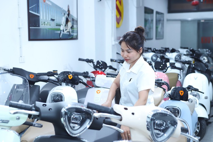 Thị trường xe máy điện Hà Nội sôi động, phân khúc, dòng xe nào đang hút khách?- Ảnh 2.
