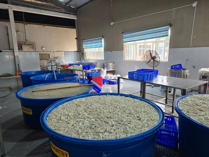 Cận cảnh kho đông lạnh chứa hơn 13 tấn chân gà ngâm hóa chất tẩy trắng- Ảnh 1.