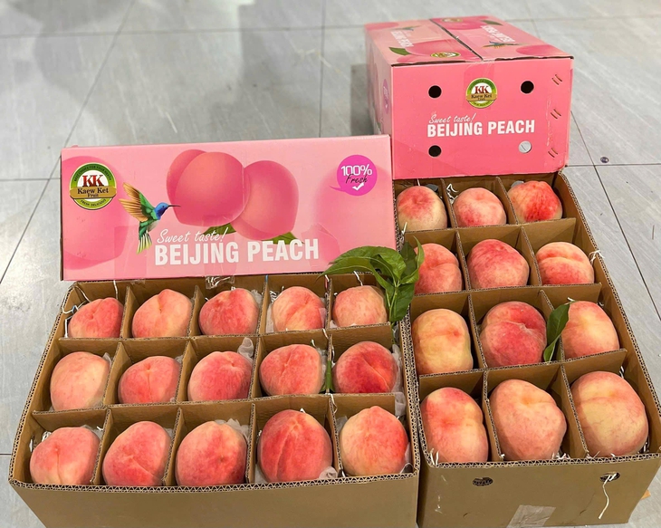 Một loại đào của Trung Quốc đổ bộ thị trường Việt, giá vài chục nghìn đồng/quả- Ảnh 4. Một loại đào của Trung Quốc đổ bộ thị trường Việt, giá vài chục nghìn đồng/quả- Ảnh 4.