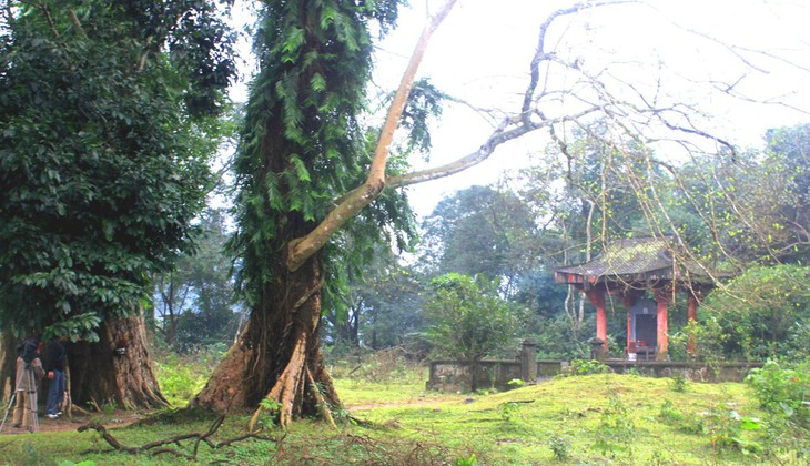 Vẻ đẹp hoang sơ của 'viên ngọc xanh' ở Hà Tĩnh- Ảnh 18. Vẻ đẹp hoang sơ của 'viên ngọc xanh' ở Hà Tĩnh- Ảnh 18.
