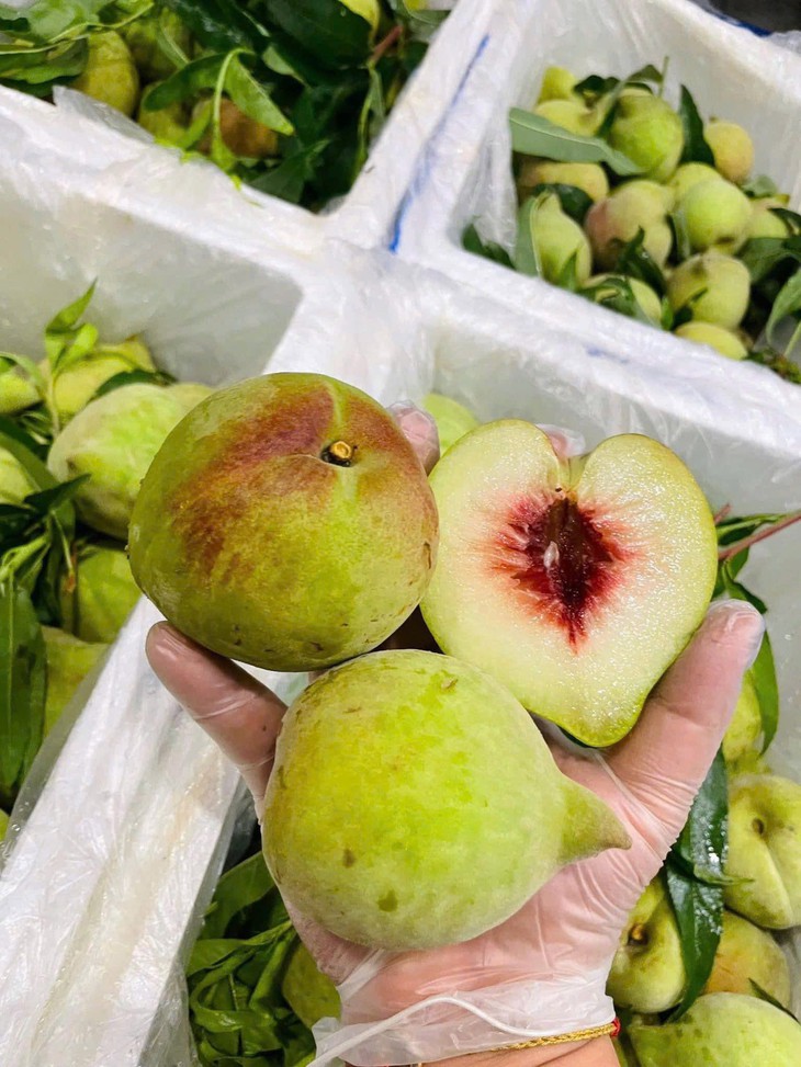 Tiểu thương tiết lộ sự thật về đào mỏ quạ đang được bán ngoài chợ- Ảnh 4.