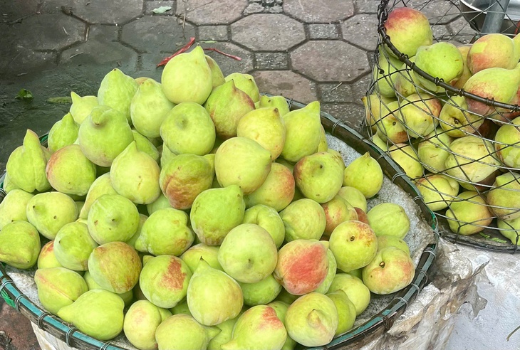 Tiểu thương tiết lộ sự thật về đào mỏ quạ đang được bán ngoài chợ- Ảnh 2.