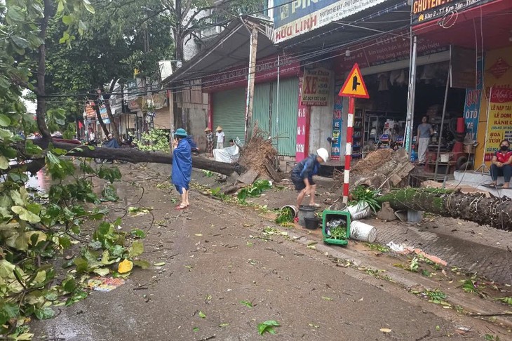 Mưa dông thổi bay mái tôn, đè bẹp ô tô- Ảnh 3.