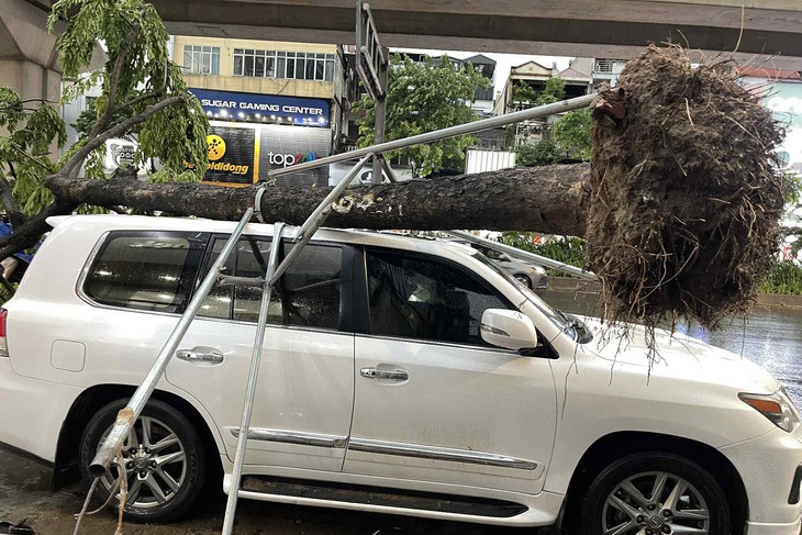 Ai sẽ phải chịu trách nhiệm khi cây đổ đè trúng ô tô sau dông lớn?- Ảnh 1.