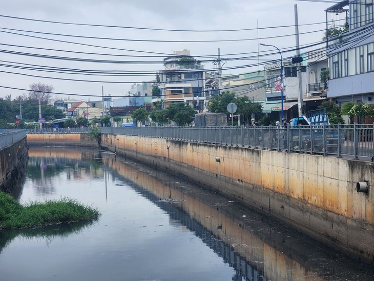 TP Hồ Chí Minh: Triển khai lực lượng tìm bắt cá sấu xuất hiện ở kênh Nước Đen- Ảnh 2.