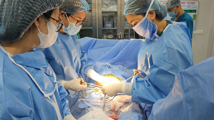 Lên chặt cành cây tránh bão, người đàn ông bị ngã chấn thương đầu- Ảnh 1.