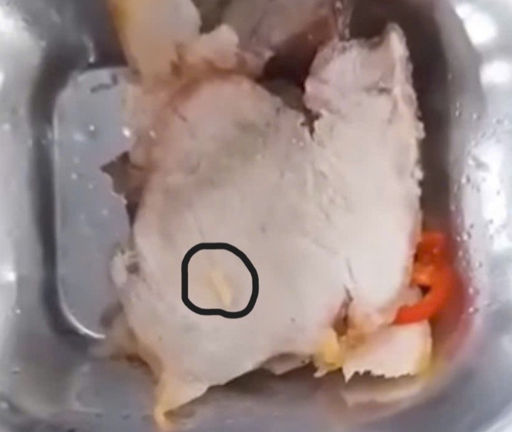Thông tin thêm về suất cơm có 'dị vật': Nguyên nhân do quả ổi? - Ảnh 1. Thông tin thêm về suất cơm có 'dị vật': Nguyên nhân do quả ổi? - Ảnh 1.