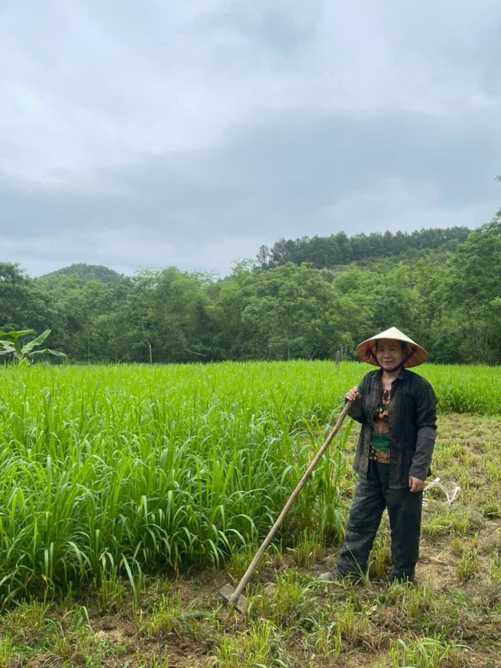 Trang trại mua nhung hươu tươi, hươu giống uy tín tại Hương Sơn - Hà Tĩnh- Ảnh 1.