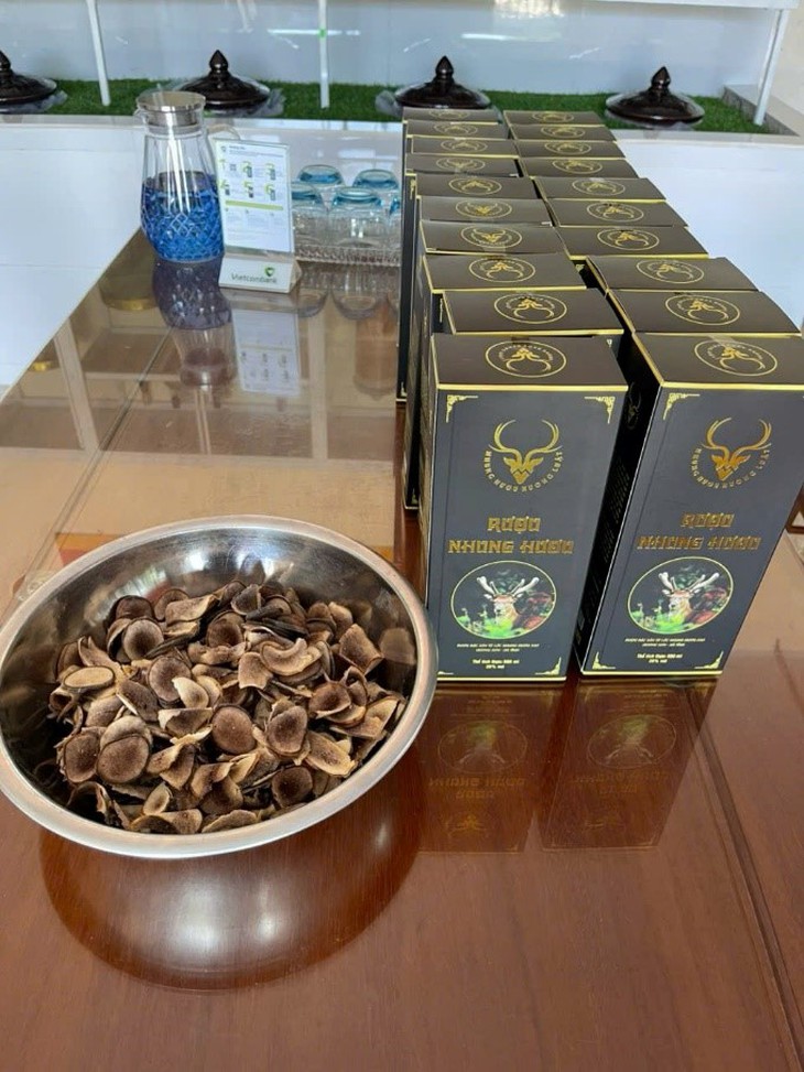 Trang trại mua nhung hươu tươi, hươu giống uy tín tại Hương Sơn - Hà Tĩnh- Ảnh 3.